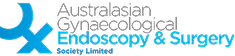 Australian Gynaecological Endoscopy and Surgery